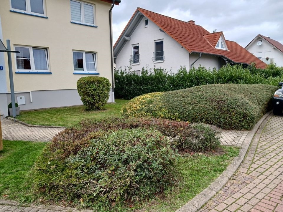 haus